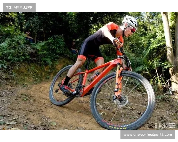 华南两轮赛近600选手参赛，覆盖法国比利时等十余地区